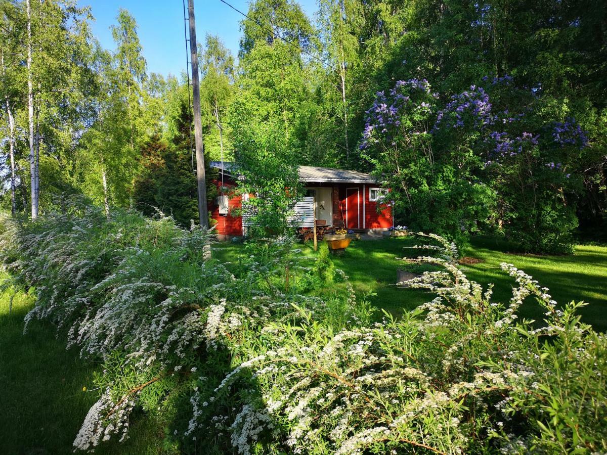 Koivuniemi Cottage Säkylä Buitenkant foto